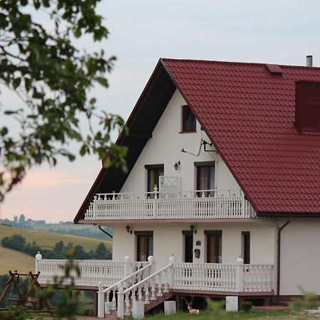 Grand Panorama Bed and Breakfast Wisniowa  Buitenkant foto